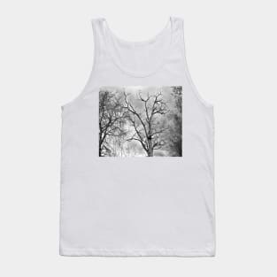 tree, autumn black and white design - Old tree Tank Top